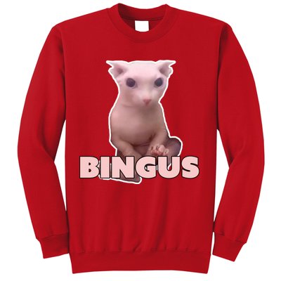 Funny Bingus Cat Meme Sweatshirt