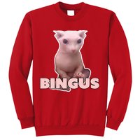 Funny Bingus Cat Meme Sweatshirt