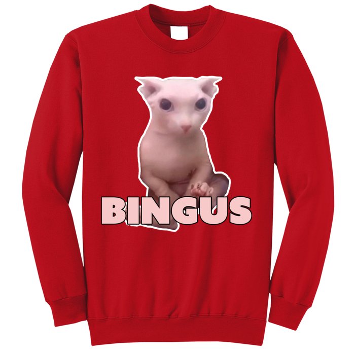 Funny Bingus Cat Meme Sweatshirt