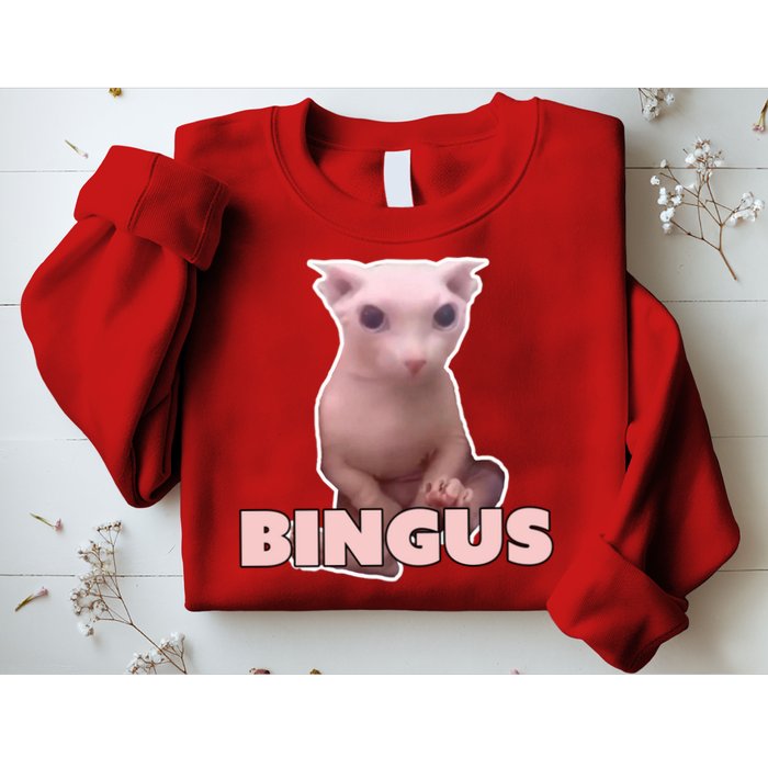 Funny Bingus Cat Meme Sweatshirt