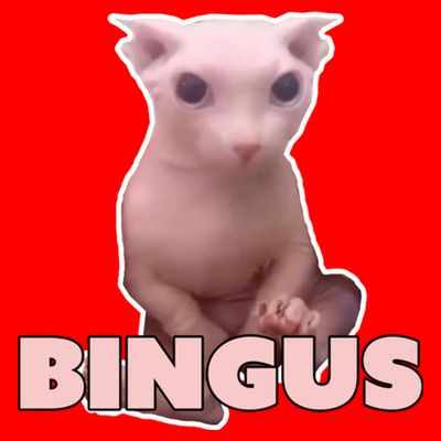 Funny Bingus Cat Meme T-Shirt