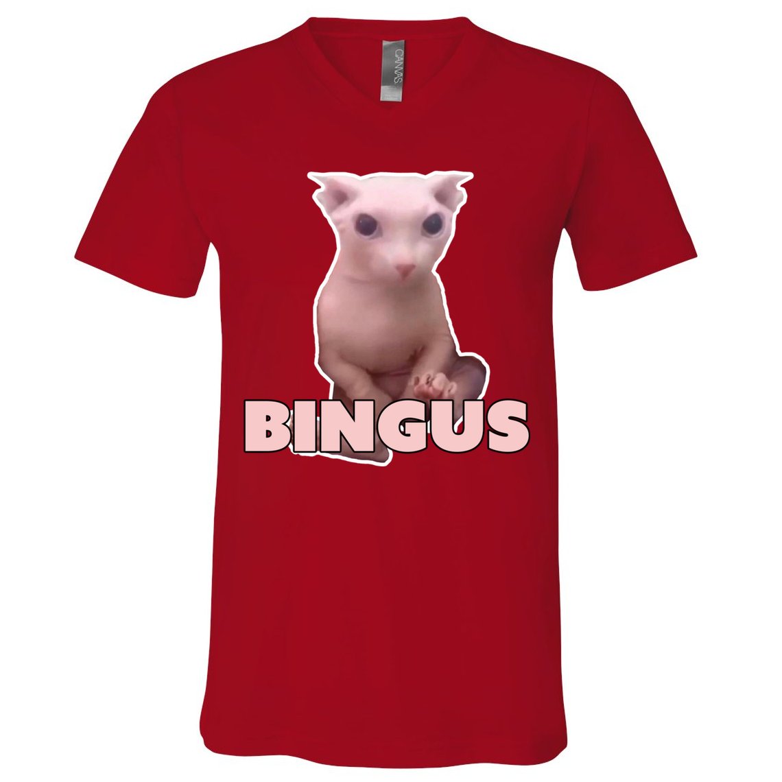 Funny Bingus Cat Meme V-Neck T-Shirt