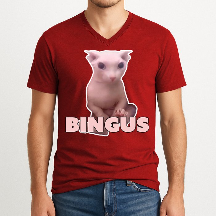 Funny Bingus Cat Meme V-Neck T-Shirt