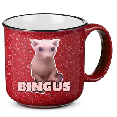 Funny Bingus Cat Meme 15oz Campfire Ceramic Mug
