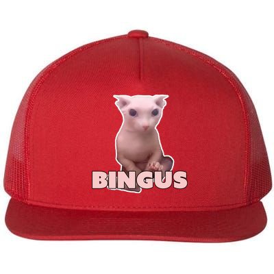 Funny Bingus Cat Meme Flatbill Hat