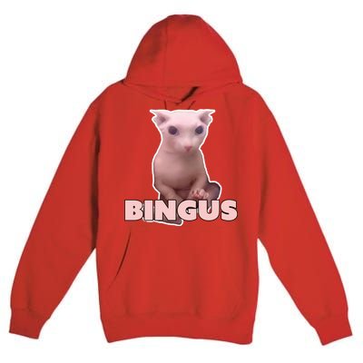 Funny Bingus Cat Meme Premium Pullover Hoodie