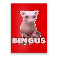 Funny Bingus Cat Meme Poster