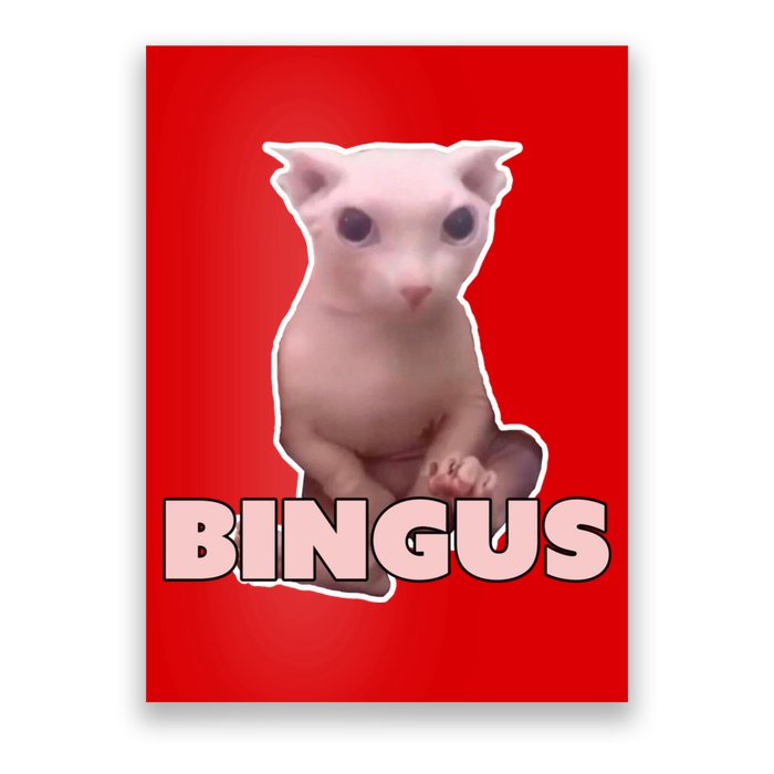 Funny Bingus Cat Meme Poster