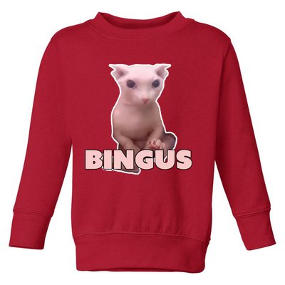 Funny Bingus Cat Meme Toddler Sweatshirt