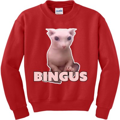 Funny Bingus Cat Meme Kids Sweatshirt