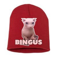 Funny Bingus Cat Meme Short Acrylic Beanie