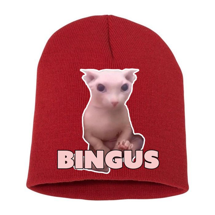 Funny Bingus Cat Meme Short Acrylic Beanie