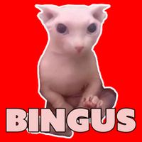 Funny Bingus Cat Meme Short Acrylic Beanie