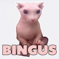 Funny Bingus Cat Meme Garment-Dyed Sweatshirt