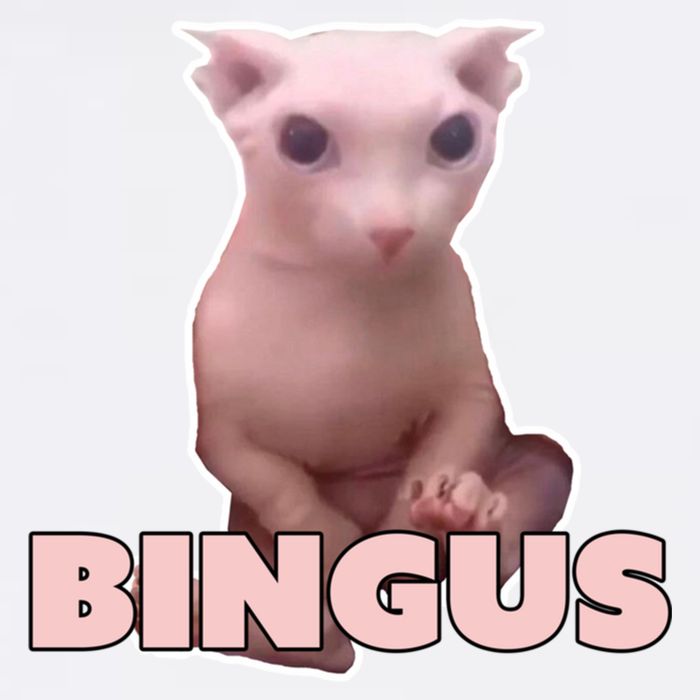 Funny Bingus Cat Meme Garment-Dyed Sweatshirt
