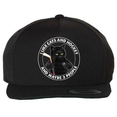 Funny Black Cat I Like Cats And Hockey And Maybe 3 People Gift Wool Snapback Cap