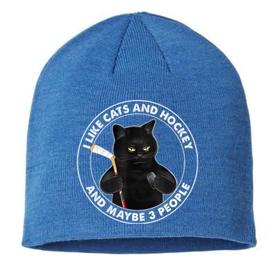 Funny Black Cat I Like Cats And Hockey And Maybe 3 People Gift Sustainable Beanie