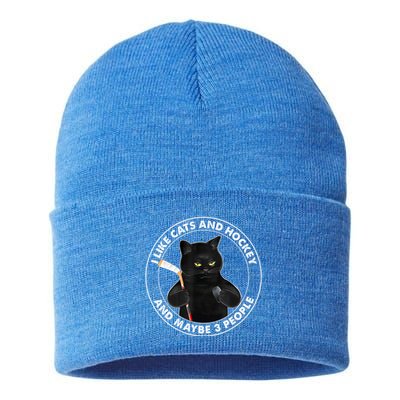 Funny Black Cat I Like Cats And Hockey And Maybe 3 People Gift Sustainable Knit Beanie