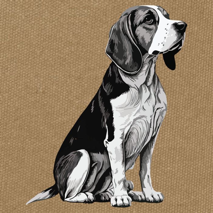 Funny Beagle Dog Cotton Canvas Backpack