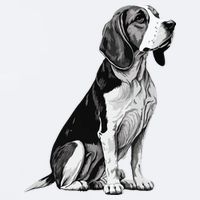 Funny Beagle Dog Sueded Cloud Jersey T-Shirt