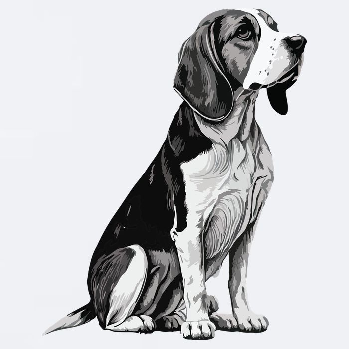 Funny Beagle Dog Sueded Cloud Jersey T-Shirt