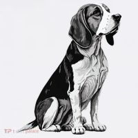 Funny Beagle Dog Button