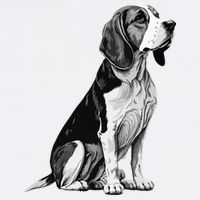 Funny Beagle Dog Toddler T-Shirt