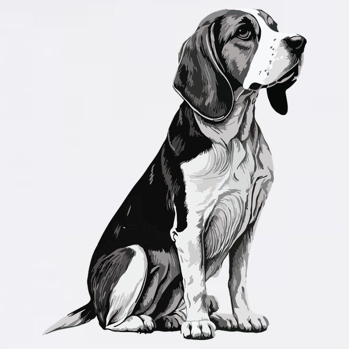Funny Beagle Dog Toddler T-Shirt