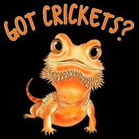 Funny Bearded Dragon Got Crickets Lizard Reptile Herpetology Backpack