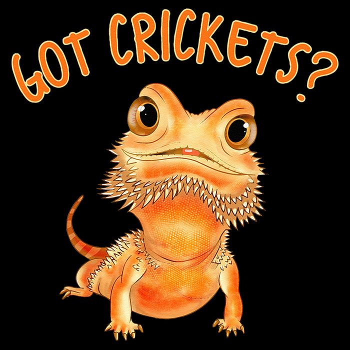Funny Bearded Dragon Got Crickets Lizard Reptile Herpetology Backpack