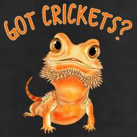 Funny Bearded Dragon Got Crickets Lizard Reptile Herpetology 25L Jumbo Tote