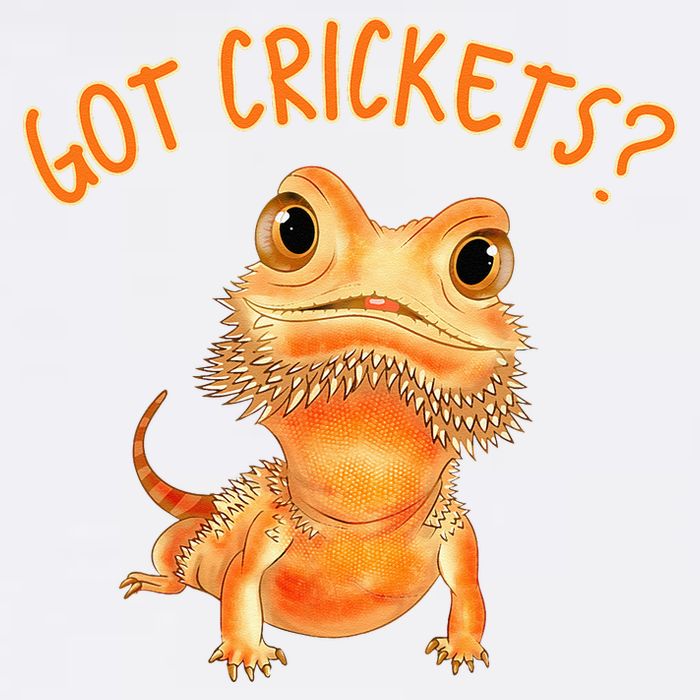 Funny Bearded Dragon Got Crickets Lizard Reptile Herpetology Button