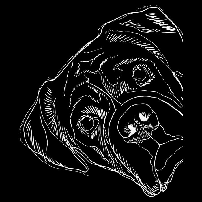 Funny Boxer Dog Visor