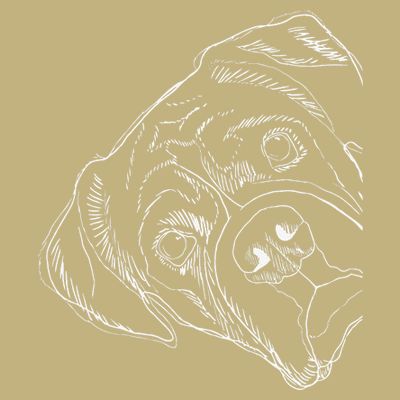 Funny Boxer Dog T-Shirt