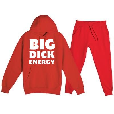 Funny Big Dick Energy Gift Premium Hooded Sweatsuit Set