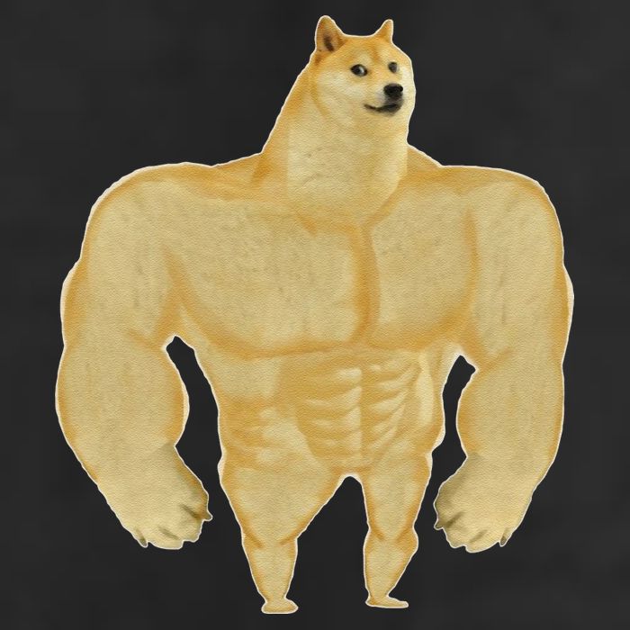 Funny Buff Doge Chiba Dog Gym Meme Funny Swole Doge Meme 7 Panel Mesh Trucker Snapback Hat