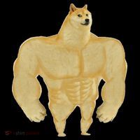Funny Buff Doge Chiba Dog Gym Meme Funny Swole Doge Meme 16 in Basic Backpack