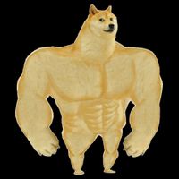 Funny Buff Doge Chiba Dog Gym Meme Funny Swole Doge Meme Toddler T-Shirt