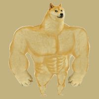 Funny Buff Doge Chiba Dog Gym Meme Funny Swole Doge Meme Cooling Performance Crew T-Shirt