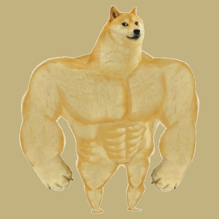 Funny Buff Doge Chiba Dog Gym Meme Funny Swole Doge Meme Cooling Performance Crew T-Shirt