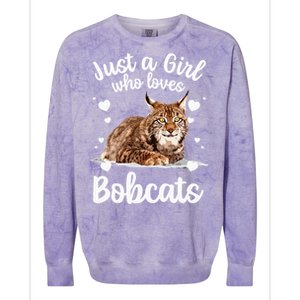 Funny Bobcat Design For Women Girls Pet Cat Bobcat Animal Colorblast Crewneck Sweatshirt