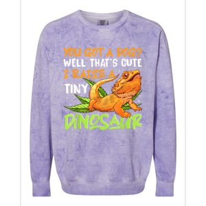 Funny Bearded Dragon Pet Reptile Lizard Lover Colorblast Crewneck Sweatshirt