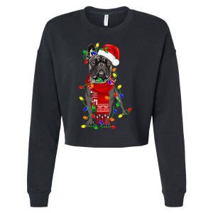 French Bulldog Dog Tree Christmas Lights  Cropped Pullover Crew