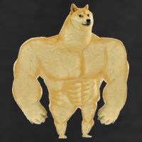 Funny Buff Doge Chiba Dog Gym meme Funny Swole Doge 7 Panel Mesh Trucker Snapback Hat