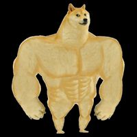Funny Buff Doge Chiba Dog Gym meme Funny Swole Doge Womens Tank Top