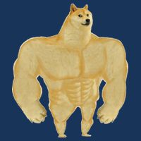 Funny Buff Doge Chiba Dog Gym meme Funny Swole Doge Infant Baby Jersey Bodysuit