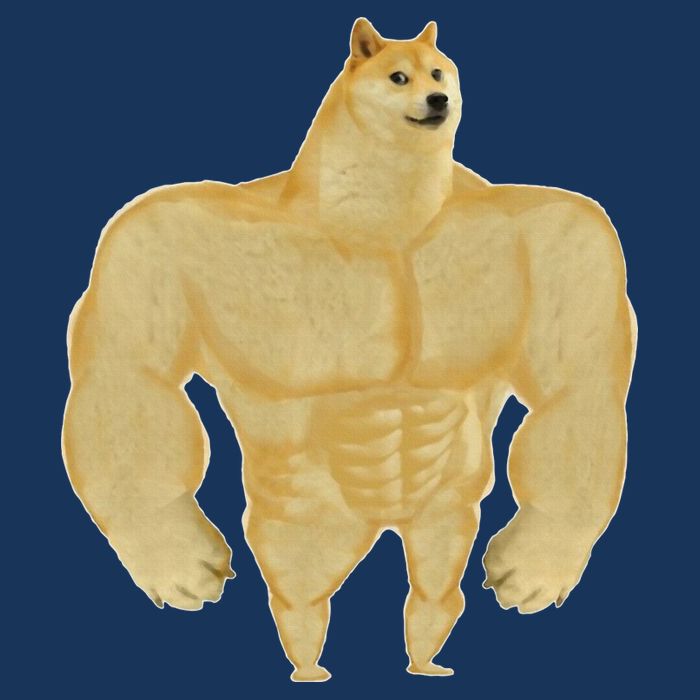 Funny Buff Doge Chiba Dog Gym meme Funny Swole Doge Infant Baby Jersey Bodysuit