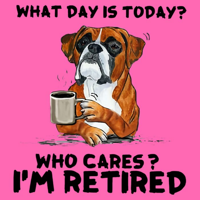 Funny Boxer Dog What Day Is Today Who Care I'm Retired Stripe Pom Pom Beanie