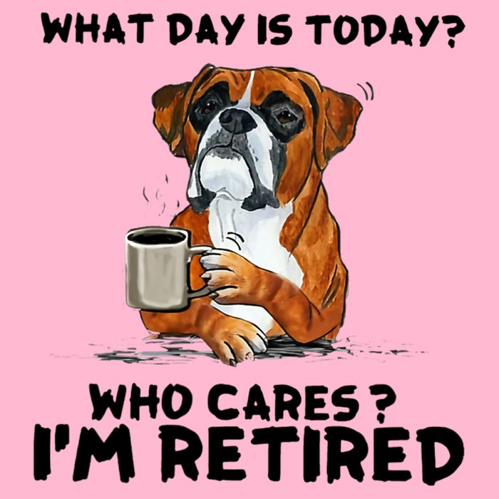 Funny Boxer Dog What Day Is Today Who Care I'm Retired Cooling Performance Long Sleeve Crew