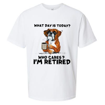 Funny Boxer Dog What Day Is Today Who Care I'm Retired Sueded Cloud Jersey T-Shirt